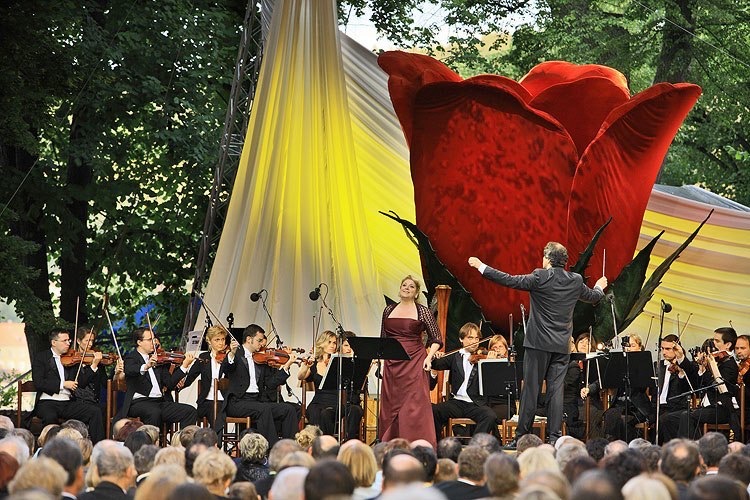 A woman appearing in a rose